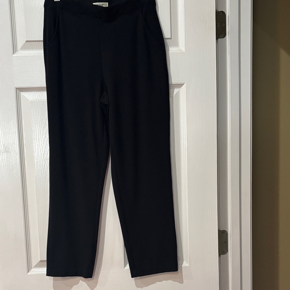 Max Studio Black Ankle Pants
